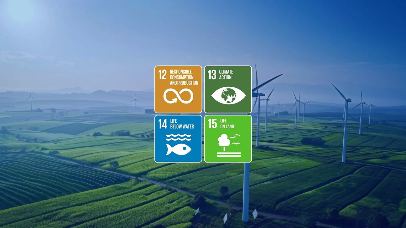 World Environment Day: Supporting United Nations Sustainable Development Goals