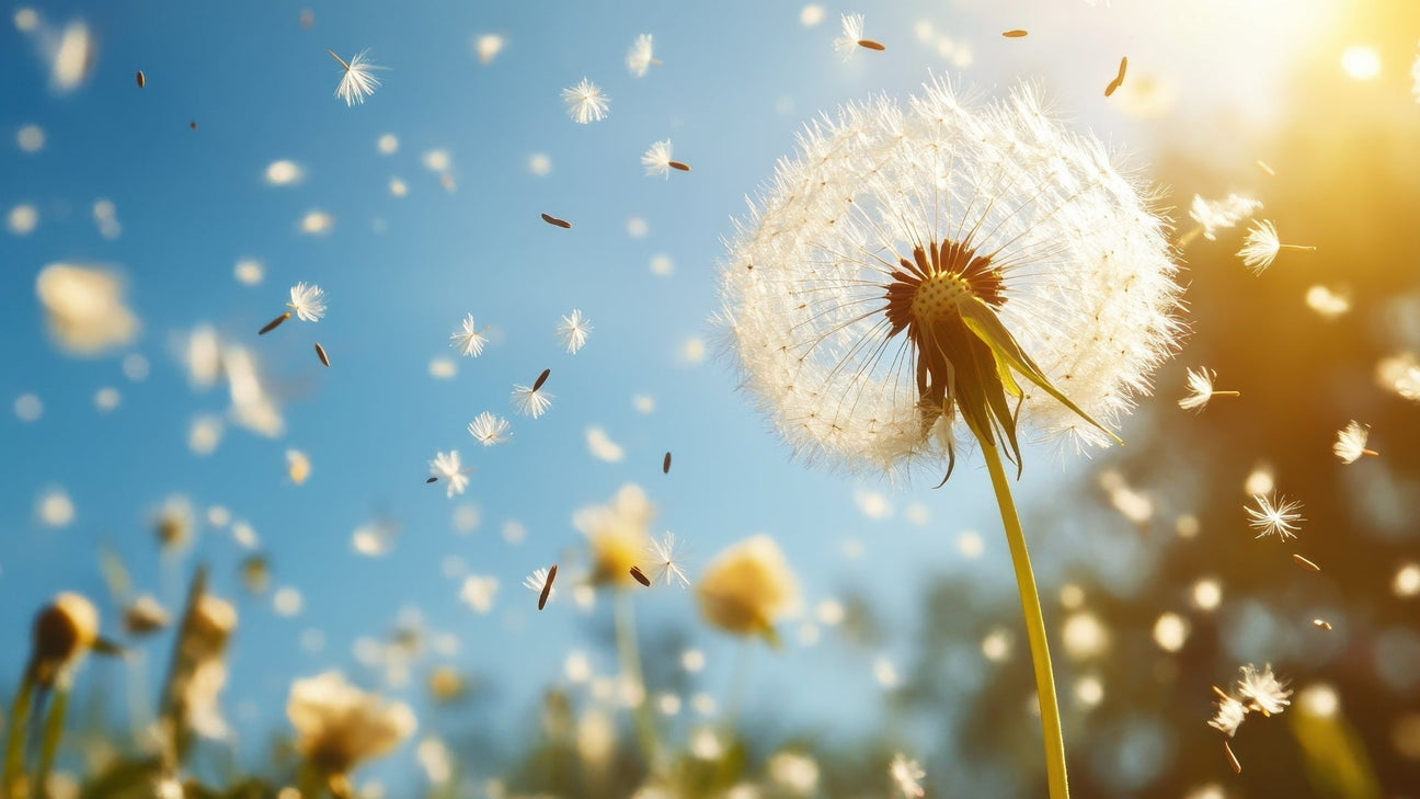 Hay fever Season and Sleep, could your mattress make a difference?
